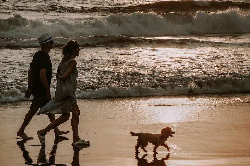 Double Down on Your IRA Contribution